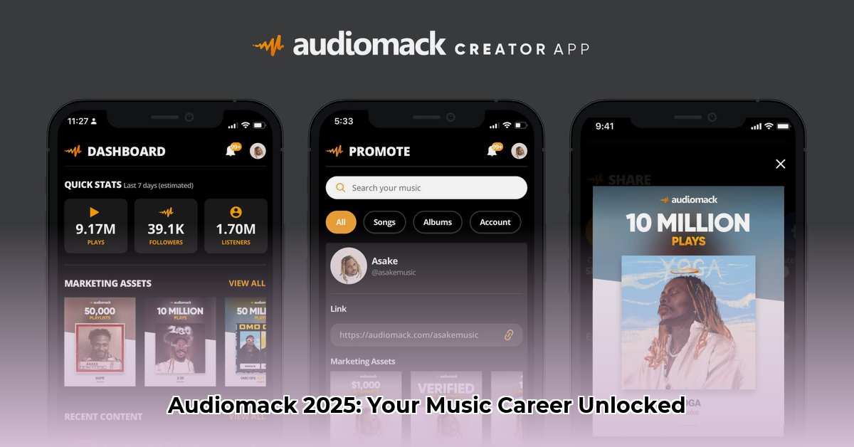 audiomack-for-artist